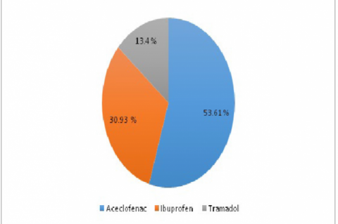 Percentage of Oral Analgesics (n=97)