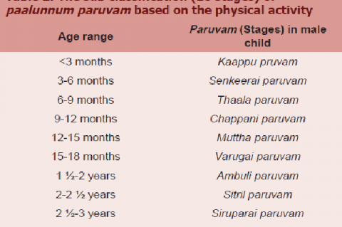 The sub classification (10 stages) of paalunnum paruvam based on the physical activity